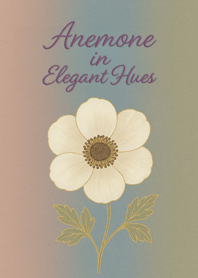 Anemone in Elegant Hues