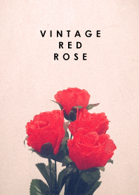 Vintage Red rose_3