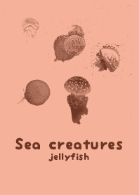 海の生き物-クラゲ 一斤染
