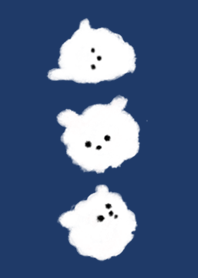 puppy Maltese