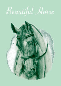 Beautiful horse 1