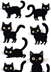 Super Cute Black Cat 2YcDe