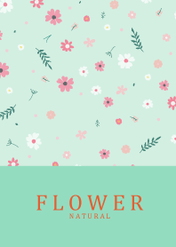 FLOWER MINT GREEN NATURAL 24