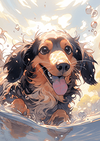 可愛の臘腸狗狗，在開心游泳❤