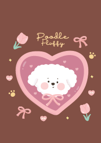Poodle fluffy cute : happy puppy!