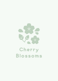Cherry Blossoms1<Green>