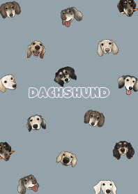 dachshund4 / dusty blue