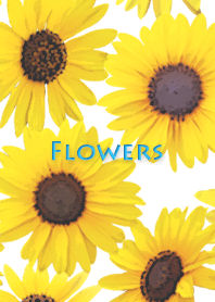 Flowers-15 (ひまわり)#pop