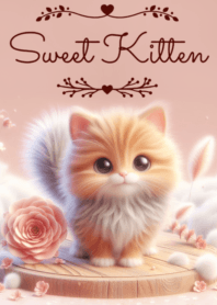 Sweet Kitten No.91