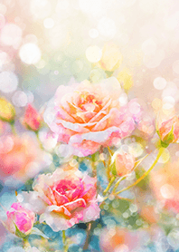 Beautiful rose flower(R2676)