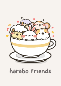 harabo's all members gathering!