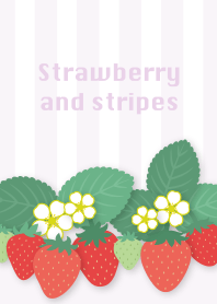 strawberry and stripes/purple