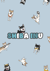 shibainu3 / blue