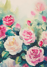 Beautiful rose flower(R4970)