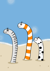 鹹ㄉ哈氏異康吉鰻