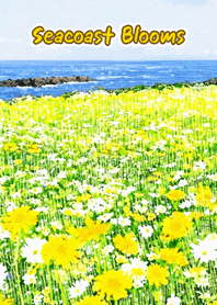 Seacoast Blooms