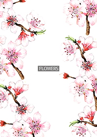 water color flowers_1084