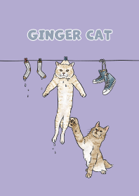 gingercat3 / violet