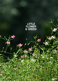 Little flower & Green