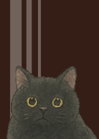 Chubby black cat on brown J