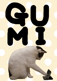 グミ猫