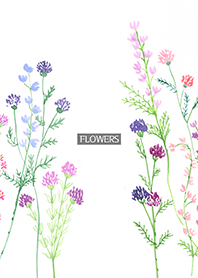 water color flowers_1124