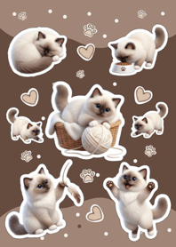 Latte Fluffy Kittens