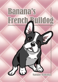 Banana's French Bulldog