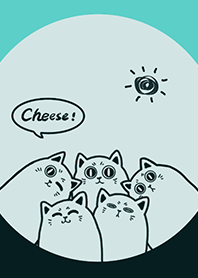 Meow...Cheese! J-Indigo. Deep Indigo