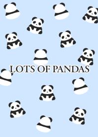 LOTS OF PANDAS/BLUE GRAY