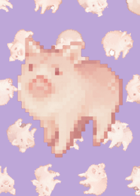 猪随机主题Pixel Purple01