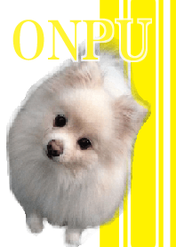 ふわふわポメ子 おんぷ(イエロー)