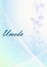 No.141 Umeda Lucky Beautiful Blue Theme