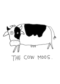The cow moos