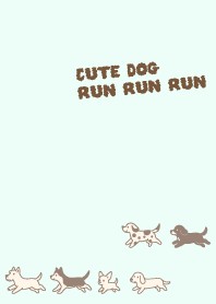 Cute dogs run..3