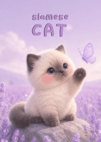 Pretty siamese cat In Lavender