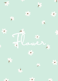 petite flower w - mint cream