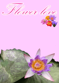 flower love