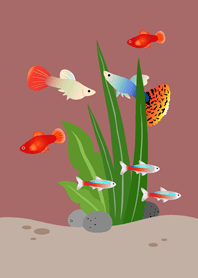 Virtual fish tank!(pink orange)