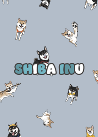 shibainu3 - slate blue