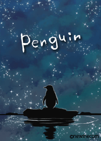 Night, star and penguin