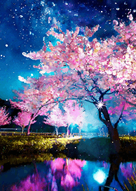 Beautiful night cherry blossoms#1669
