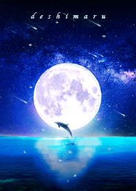 [deshimaru] dolphin moon night