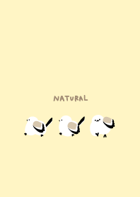 Long-tailed tit walking11 from Japan