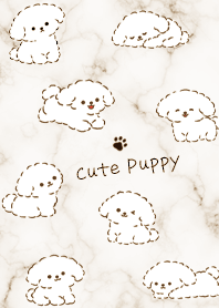 Beige Toy Poodle and Marble