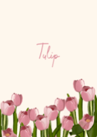 Tulip Tulips