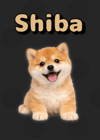 Tema Boneka Shiba Inu B/W 02