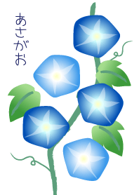 Refreshing morning glory joc
