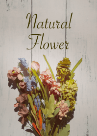 -Natural Flower- White