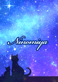 Ninomiya Milky way & cat silhouette